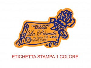 Etichette in carta fluorescente e colorata (mm 50X31)  (cod.8Q) 
